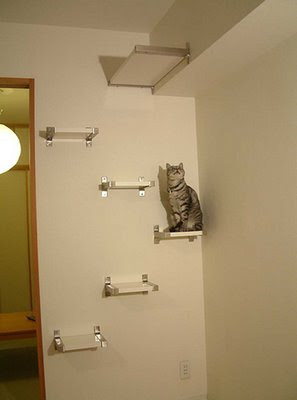 Mobila pentru pisici (mobilier) Mobila pentru pisici