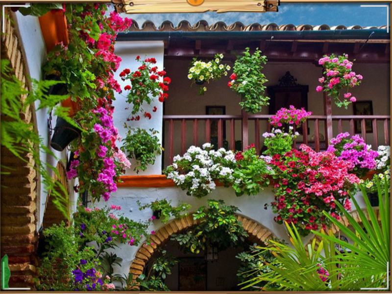 Modalitati de fotografii flori de design balcon și nume de plante populare, metode de cultivare a