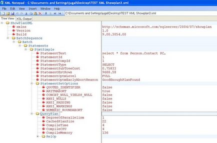 Microsoft XML Notepad descărcare gratuită, o descriere detaliată a programului