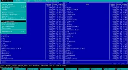 midnight commander puțin despre managerul de fișiere consola