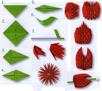 origami modular pentru incepatori pas cu pas instrucțiunile de asamblare