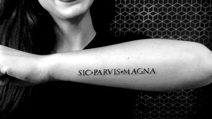 tatuaj cu litere latine pentru traducerea fraze și fotografii de tatuaje
