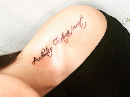 tatuaj cu litere latine pentru traducerea fraze și fotografii de tatuaje