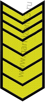 patch-uri umăr al datelor de serviciu - Manualul militar