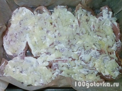 Tender piept de pui cu roșii și brânză în cuptor, testat rețete