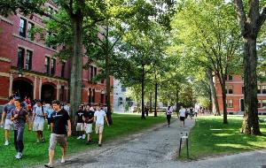 Educație la normele de admitere la Harvard, campusuri, cost, prestigiu