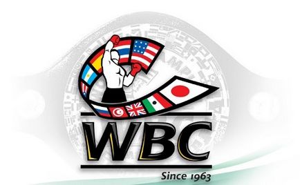 Organizațiile de box Prezentare generală în importanță în clasamentul mondial