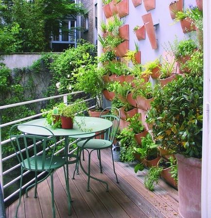 Efectuarea balconul de flori cum de a decora, design, buclat, ampelnye, fotografii