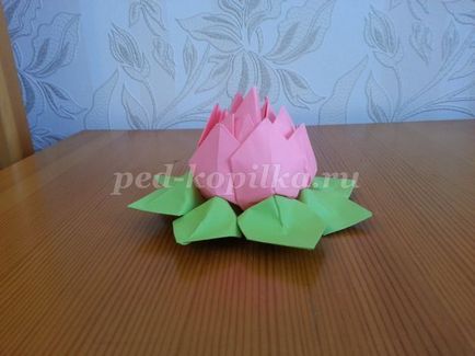 origami lotus