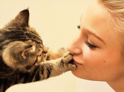 De ce pisicile miau doar pentru oameni, dacă oamenii să înțeleagă ce a miauna pisica