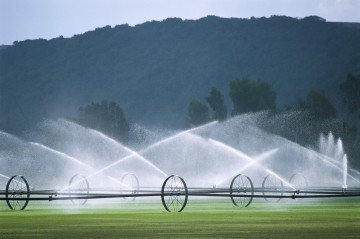 Irigarea câmpuri, câmpuri de irigare prin picurare și alte terenuri agricole