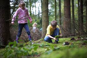 Reguli de conduită în pădure pentru copii (memo)