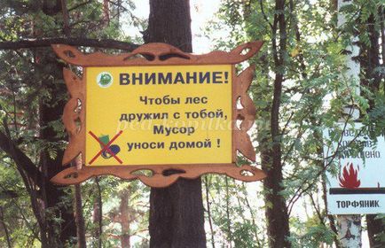 Reguli de conduită în pădure pentru copii în versuri
