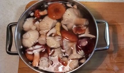 Mod de preparare syroezhek foto și video-rețete, modul de a găti ciupercile după recoltare