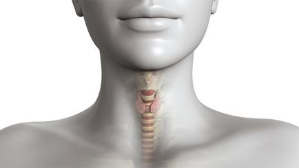 Simptomele bolii tiroidiene simptome prima la femei și bărbați