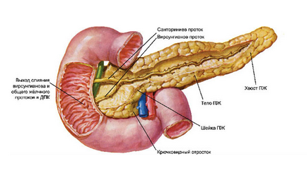 Prevenirea și tratamentul bolilor pancreatice