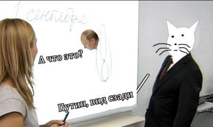 Pisica lui Putin pe o tablă
