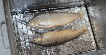 Peled Fish (caș)