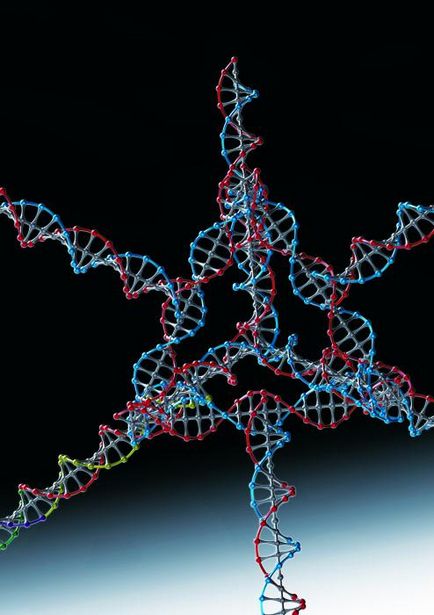 ARN și ADN