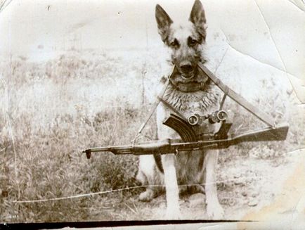 Cel mai faimos Polițistul de frontieră sovietice