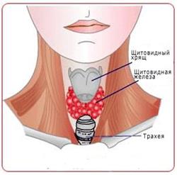 Simptomele de tulburări tiroidiene