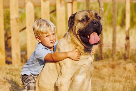 Câine pentru copii cele mai bune tehnici, cum de a alege - viața amoroasă