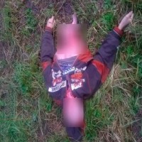 Câini - canibali câinii fără stăpân rupt băiat din Ufa și au atacat copilul în Voronej - crimă