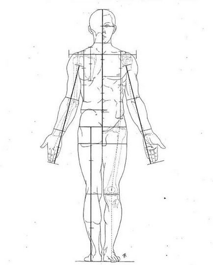 Punerea schelet uman 3d - atelier de creație Igorya Petunina