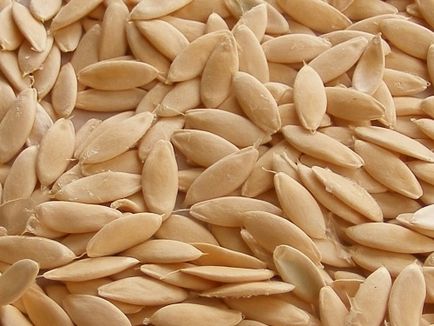 Soiuri și hibrizi de castravete într-o seră pentru factorii în creștere influențează alegerea semințelor
