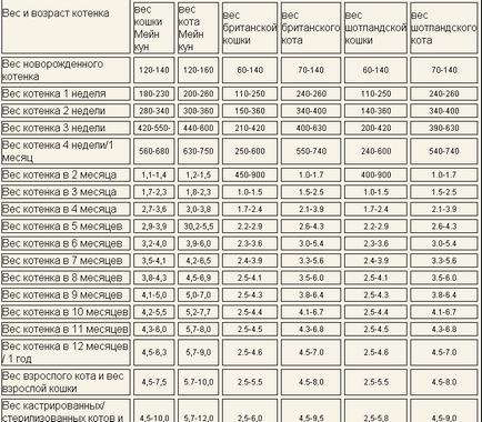 Greutatea Tabelul kitten de lună