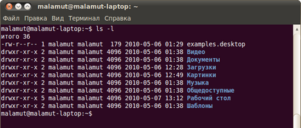 Terminalul, o documentație în limba rusă pentru ubuntu