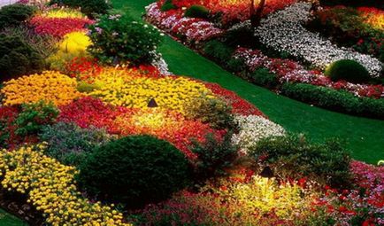 Tipuri și numele de paturi de flori și paturi de flori (cu fotografii) gradina de flori modulare, de frontieră de flori, mixborders, creste