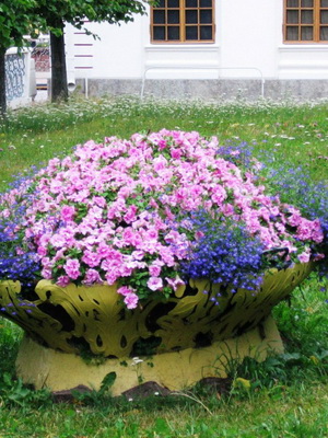 Tipuri și numele de paturi de flori și paturi de flori (cu fotografii) gradina de flori modulare, de frontieră de flori, mixborders, creste