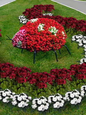 Tipuri și numele de paturi de flori și paturi de flori (cu fotografii) gradina de flori modulare, de frontieră de flori, mixborders, creste