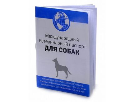 Dog Exportul documentelor și vaccinări în timpul transportului de zbor sau tren