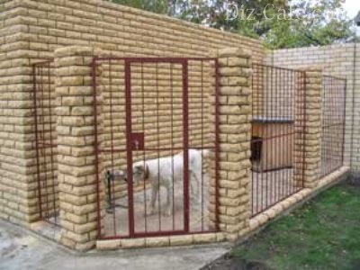 Aviary pentru câini cu propriile lor mâini - cum să construiască cea mai corectă