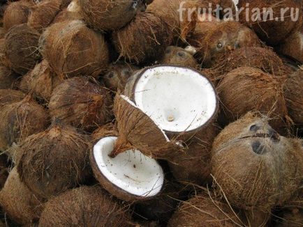 All-totul-totul despre nuci de cocos