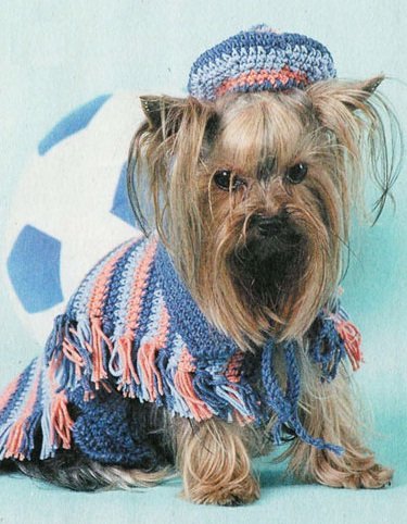 îmbrăcăminte tricot pentru câini croșetat propriile lor a proceda mâini