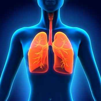 Boli ale remediilor tratament ale tractului respirator superior și populare inferioare în plămân și bronhiilor