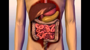 Boli ale simptomelor tractului digestiv al diferitelor patologii ale sistemului digestiv al oamenilor