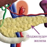 Boli ale simptomelor tractului digestiv al diferitelor patologii ale sistemului digestiv al oamenilor