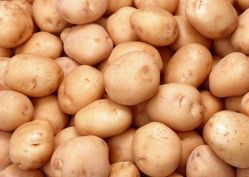 Ce este tuberculii de cartofi