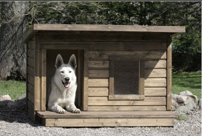 Cum de a face o casă pentru câini