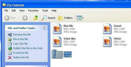 Ce poate Archiver Ce poate Archiver