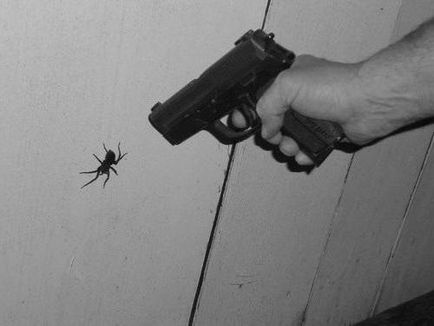 Cum să scapi de păianjeni în casa de remedii populare și chimie
