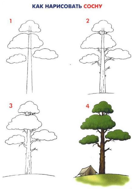 Cifrele cu privire la natura acestei