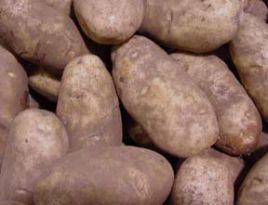 Cum se păstrează cartofi