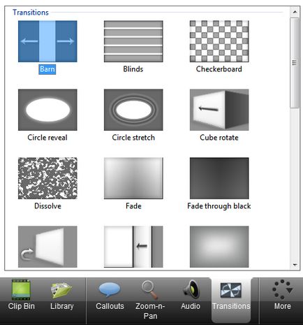 Camtasia recorder care este Camtasia recorder care este