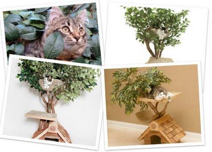 Copac pentru pisici