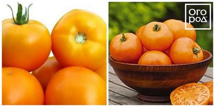 12 timpurietate de soiuri de tomate care pot fi semănate în aprilie și mai